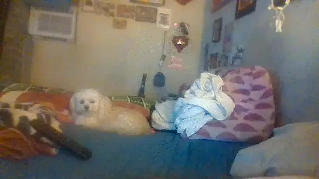 hornyrich69 online show from 12-22-24, 07:54