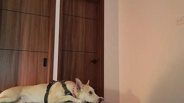 Snapshot of Hot_Couple666 chatting on 09-09-25, 01:49 Hot Couple666 online show from 09-09-25, 01:49