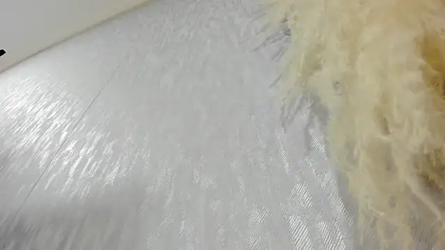 Lissalittlee online show from 10-22-25, 07:57