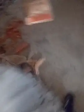 Kurtsikicixh online show from 11-05-25, 02:53