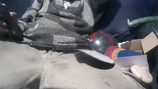 robeaulieu02 online show from 02-12-25, 04:54