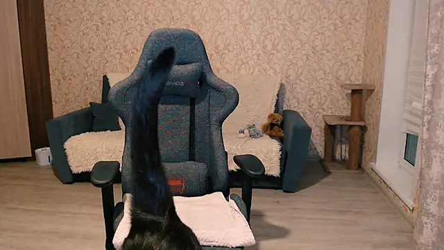 Snapshot of PDiddy_ chatting on 02-15-25, 07:50 PDiddy online show from 02-15-25, 07:50