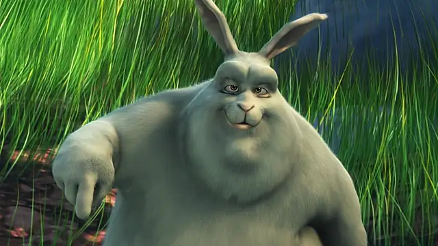 streamy test12 online show from 10-14-25, 02:17