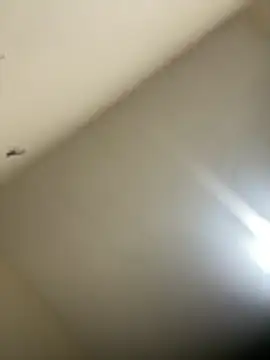 Snapshot of Malandralle chatting on 02-21-26, 12:01 Malandralle online show from 02-21-26, 12:01