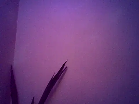 Snapshot of Malandralle chatting on 11-25-25, 05:30 Malandralle online show from 11-25-25, 05:30