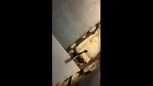 Manwhorxxlcock online show from 03-03-26, 10:33