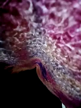 Snapshot of morenogts69 chatting on 10-24-25, 01:32 morenogts69 online show from 10-24-25, 01:32