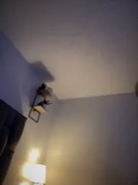 Carlita cute online show from 03-19-25, 04:36