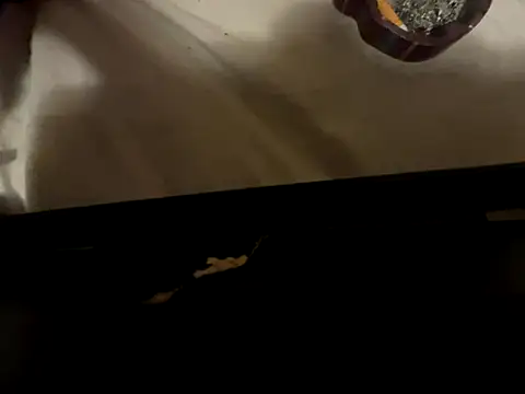 FreakNastyLacie online show from 12-16-25, 05:00