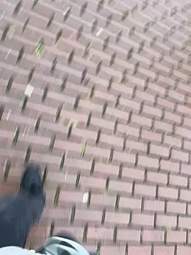 Snapshot of 0maxx00 chatting on 12-19-24, 02:13 0maxx00 online show from 12-19-24, 02:13