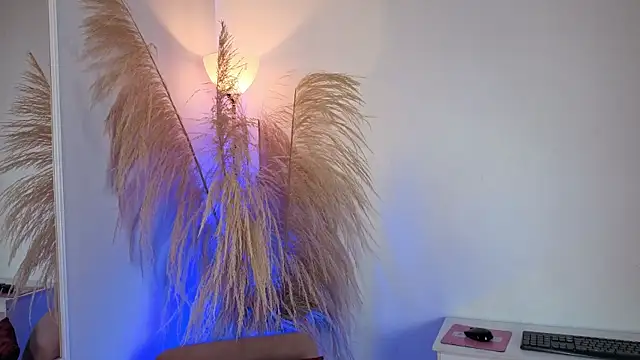 Elecktra sweet online show from 06-24-26, 07:33