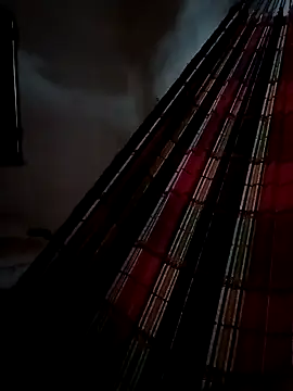 PIKAdePAU27 online show from 12-24-24, 08:33