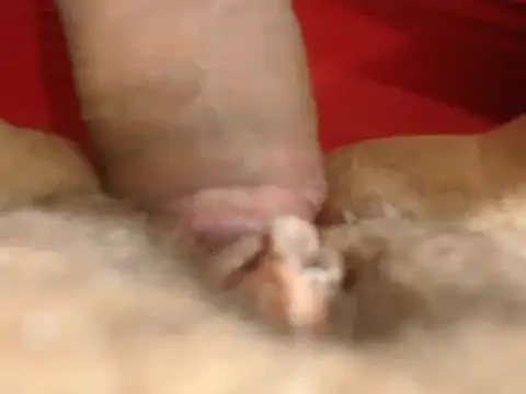 Snapshot of lolamike19 chatting on 11-18-25, 10:29 lolamike19 online show from 11-18-25, 10:29