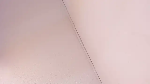 Black Rose2 online show from 03-01-26, 11:43