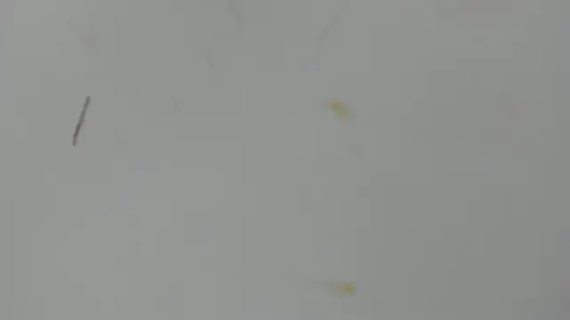 Snapshot of Antonellanospik_ chatting on 03-16-25, 03:25 Antonellanospik online show from 03-16-25, 03:25