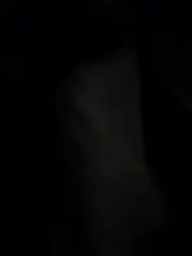 pipeload1275 online show from 11-20-25, 07:53