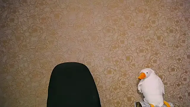  your fantasy girl online show from 02-27-25, 11:28