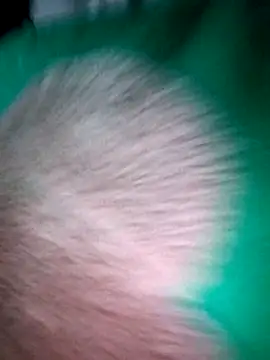 Haralushiaaa online show from 12-04-25, 11:59