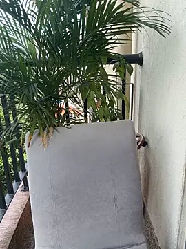 Pretty Isadora online show from 03-04-26, 04:59