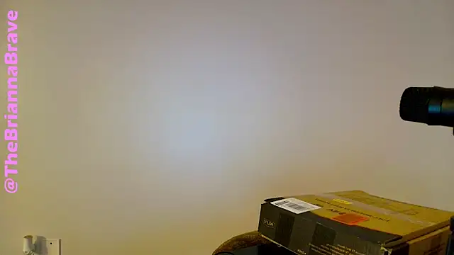 BriannaBrave online show from 02-11-26, 07:36