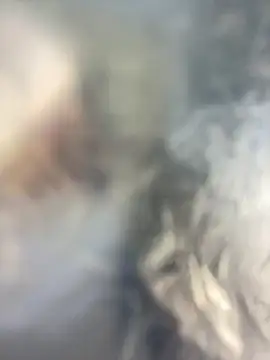 Snapshot of OniricFemme chatting on 12-20-25, 12:08 OniricFemme online show from 12-20-25, 12:08