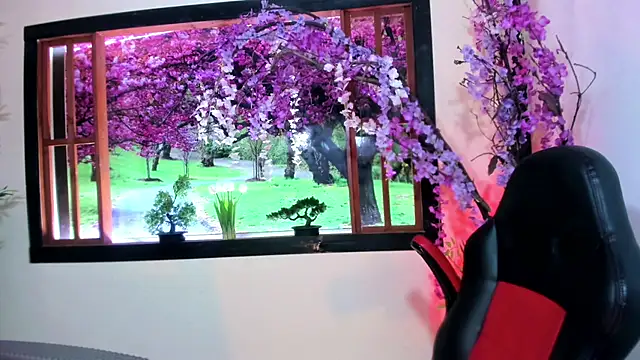 Susan DiSantys online show from 01-31-25, 01:33