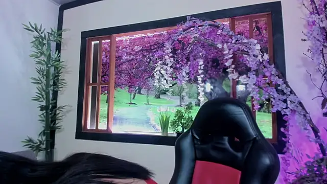 Susan DiSantys online show from 02-11-25, 07:27