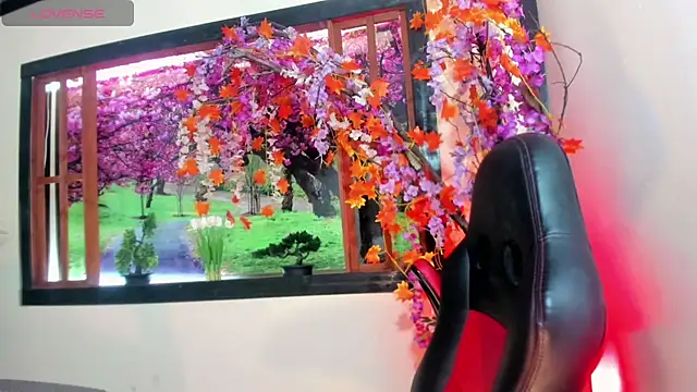 Susan DiSantys online show from 02-26-25, 10:26