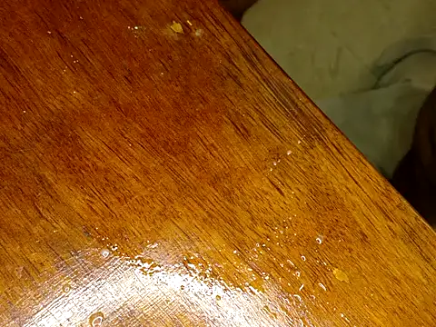 KingCobraClassy online show from 02-12-26, 07:41