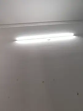 Snapshot of Sonam-378 chatting on 10-14-25, 09:43 Sonam-378 online show from 10-14-25, 09:43