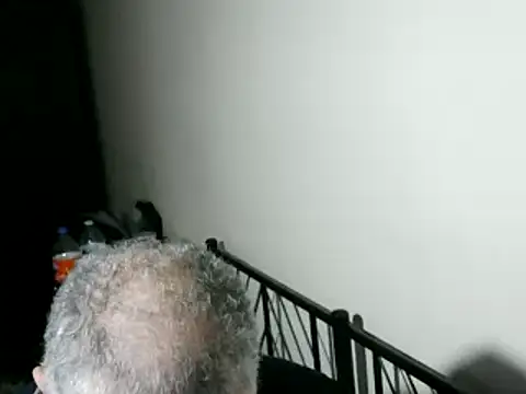 100Tauros online show from 02-11-26, 10:53