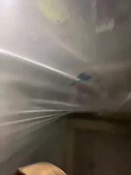 Snapshot of T_tina92 chatting on 01-14-26, 01:09 T tina92 online show from 01-14-26, 01:09