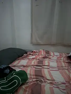 culitotragon24 online show from 02-12-26, 04:23