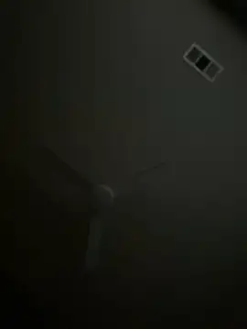 goldbuni online show from 11-09-25, 12:42