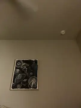 goldbuni online show from 01-07-26, 12:54