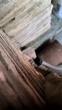 mendelicius online show from 09-09-25, 11:52