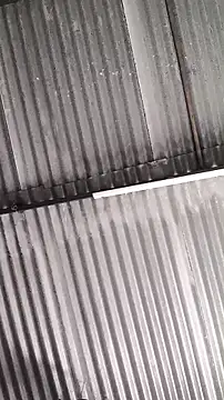 mendelicius online show from 02-11-26, 01:22