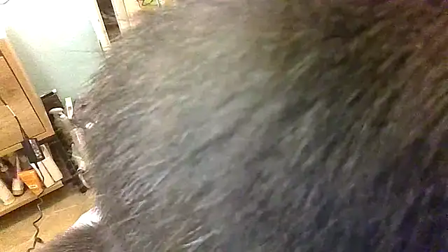 Bigloggz online show from 03-23-26, 02:33