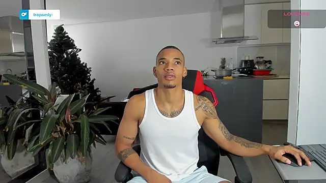 TROYWESLY- online show from 01-13-26, 05:17