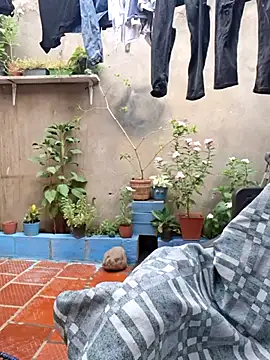 room 24funn online show from 11-29-25, 03:23