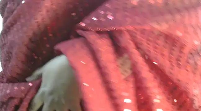 rehana88 online show from 03-17-25, 01:14