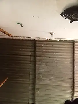 Andreita 95 online show from 01-15-26, 02:09