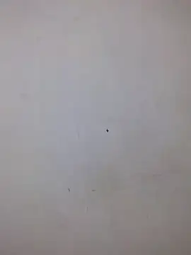 AmnionicDemeanor online show from 10-05-25, 06:53