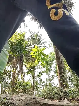 rayhan085 online show from 03-19-25, 08:23