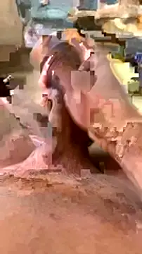 Snapshot of elber-gdo chatting on 02-05-25, 10:55 elber-gdo online show from 02-05-25, 10:55