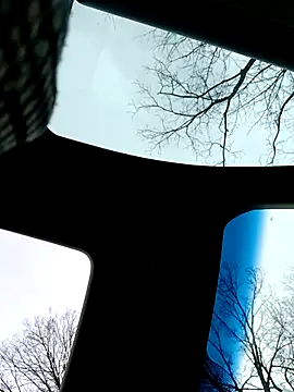 Alfrendino44 online show from 02-19-26, 08:50