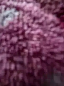 katymojadit online show from 02-16-26, 12:59