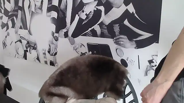 godinflower online show from 02-21-26, 02:19