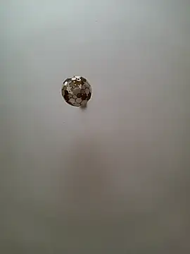 JulianJ50 online show from 11-12-25, 02:32