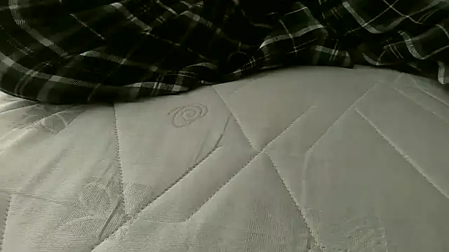 Cutie Shy  online show from 07-17-26, 03:31